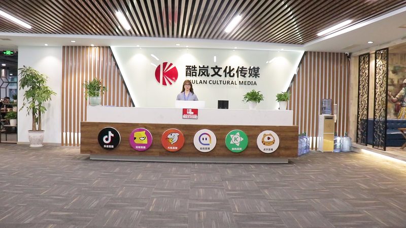 纪录片拍摄，设备之选：价格背后的考量**