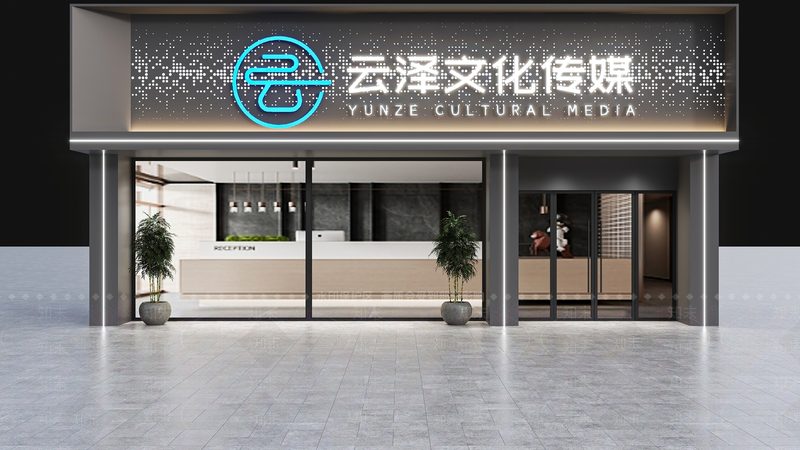 媒介投放案例报告：如何精准解析与优化**